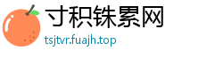 寸积铢累网